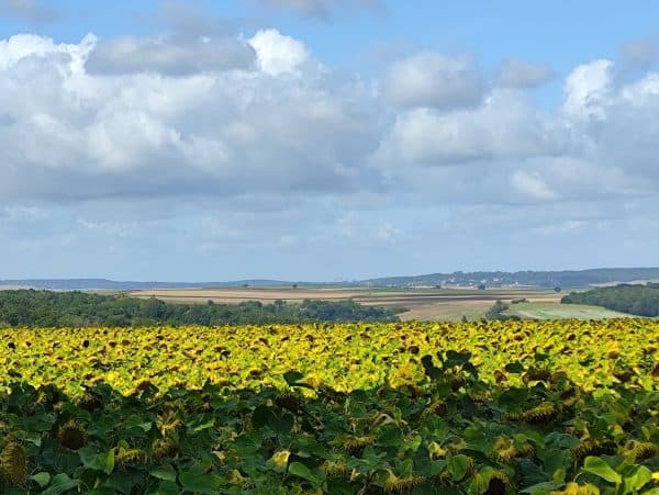 Se mettre à la randonnée après 50 ans