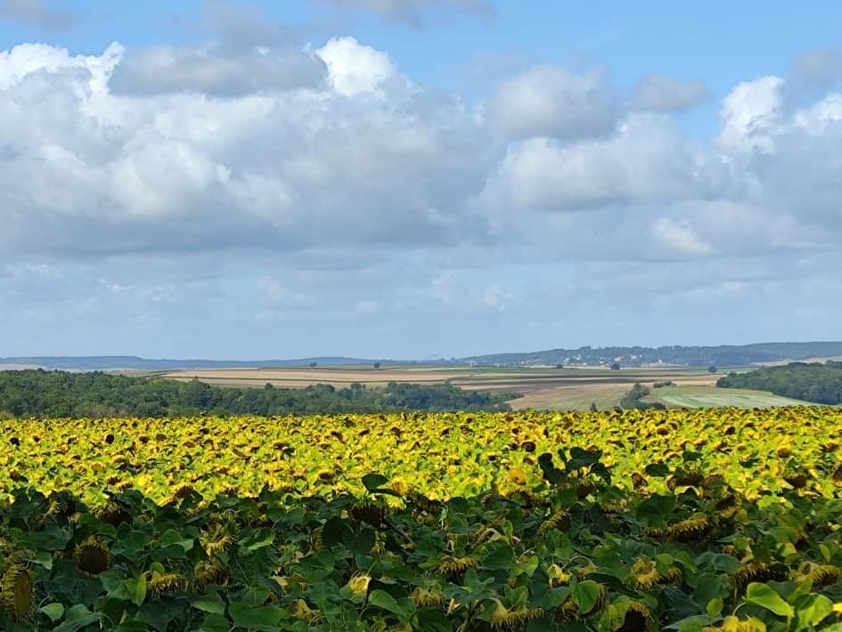 Se mettre à la randonnée après 50 ans