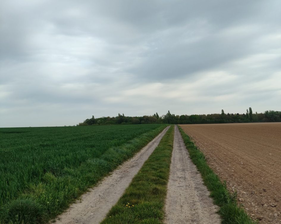marche-vexin-français